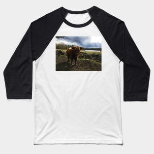 Scottish Highland Cattle Bull 2382 Baseball T-Shirt